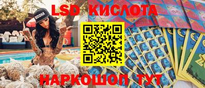 шишки Донской