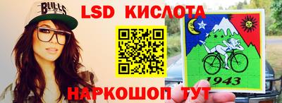 шишки Донской