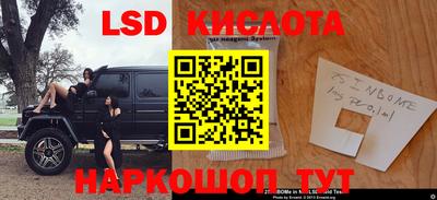шишки Донской