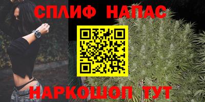 шишки Донской