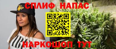 a pvp Дубна