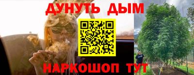 a pvp Дубна