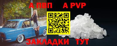 шишки Донской