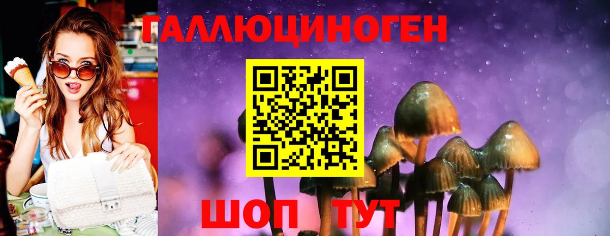 Мурманск  Галлюциногенные грибы мицелий  Вход с VPN  Галлюциногенные грибы мицелий 